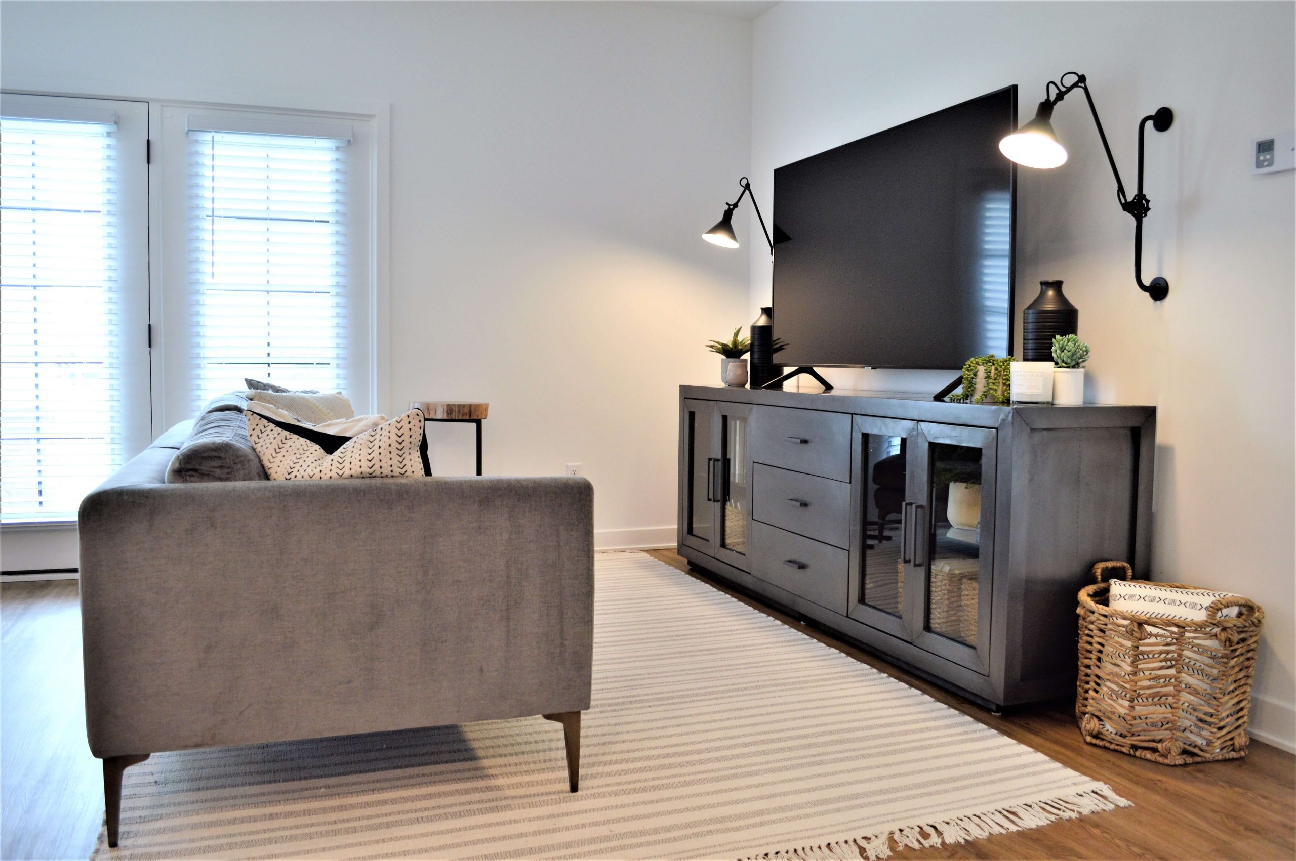 Living room with gray sofa, wall-mounted TV above a media console, striped area rug, and woven basket accents.