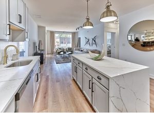 Kitchen interior with island looking toward living room