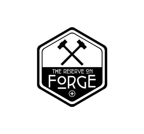 THE RESERVE ON FORGE